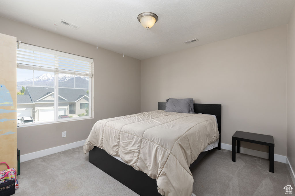 Carpeted bedroom with baseboards and visible vents