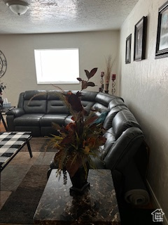 Living room featuring a textured ceiling