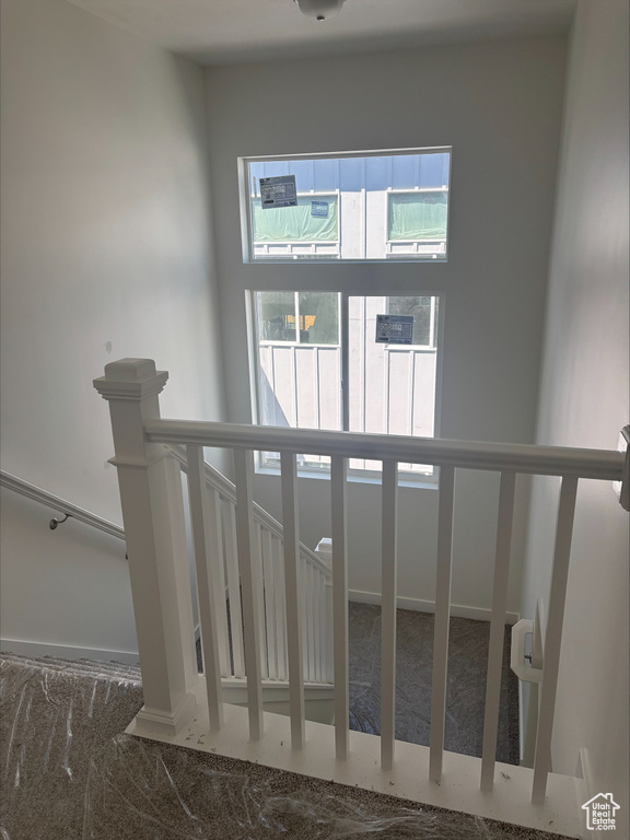 Staircase featuring carpet