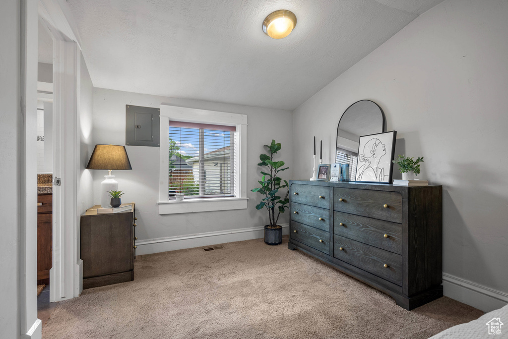 Bedroom featuring carpet, baseboards, and electric panel