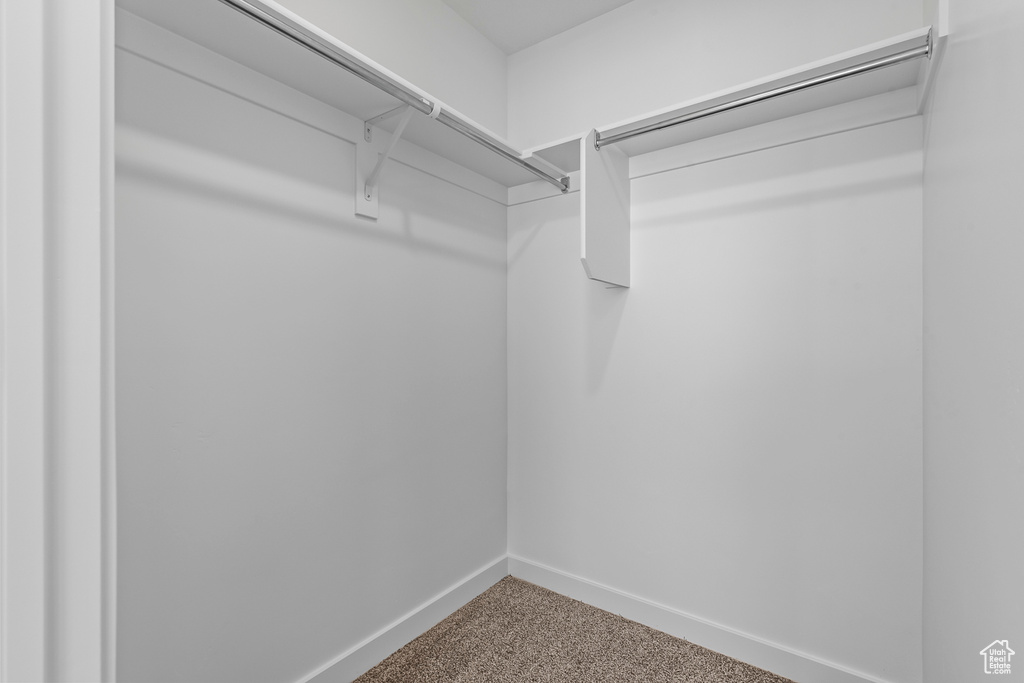 Walk in closet with carpet
