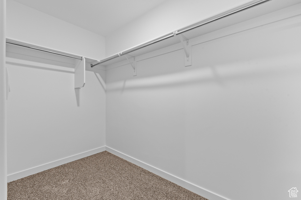 Spacious closet featuring carpet floors