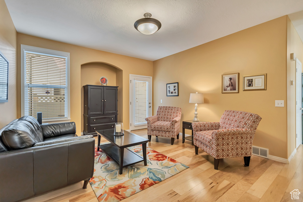 Living room with visible vents, light wood-style floors, and plenty of natural light