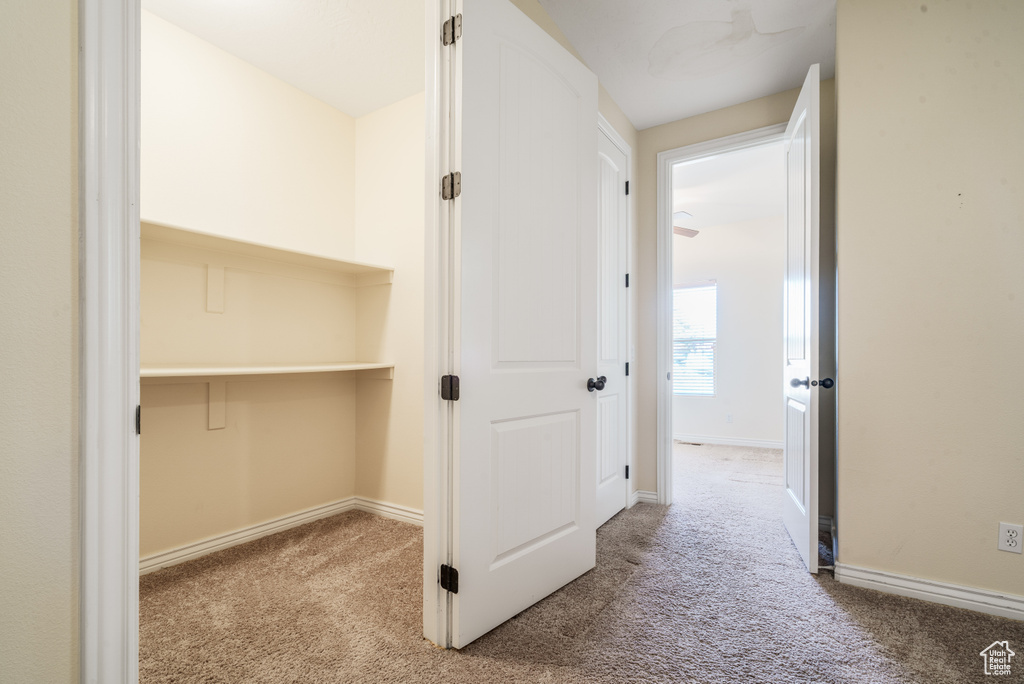 Interior space featuring baseboards and carpet flooring