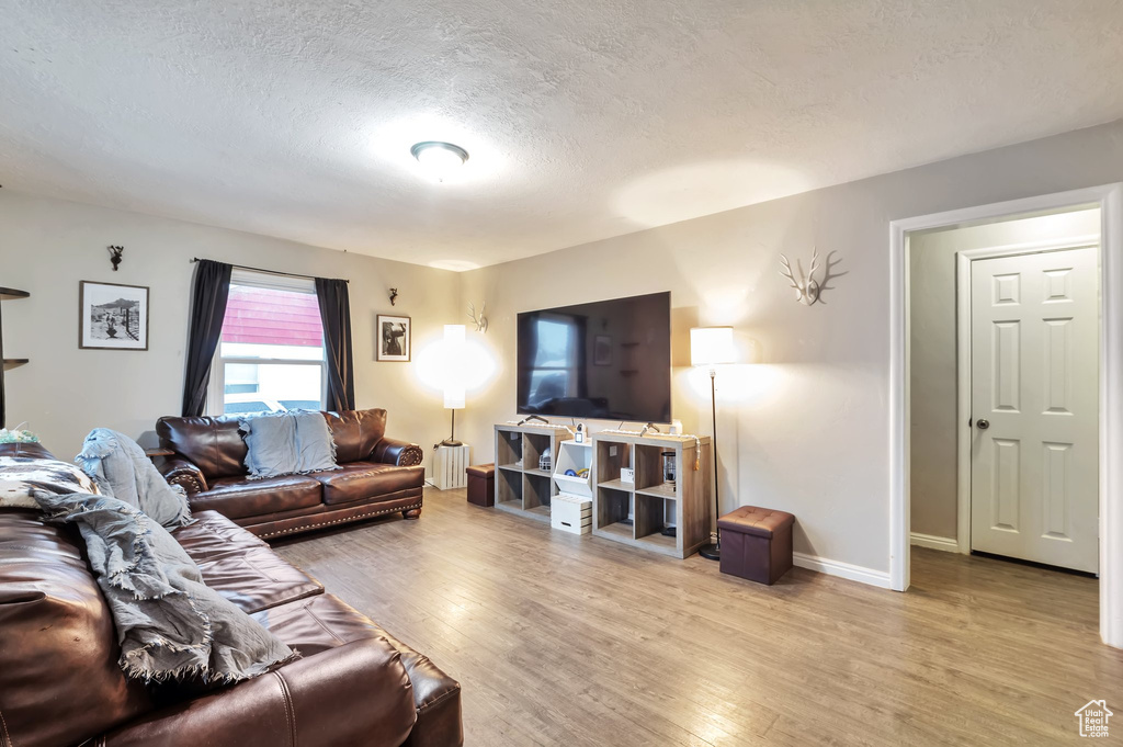 Living area with a textured ceiling, baseboards, radiator heating unit, and light wood-style floors