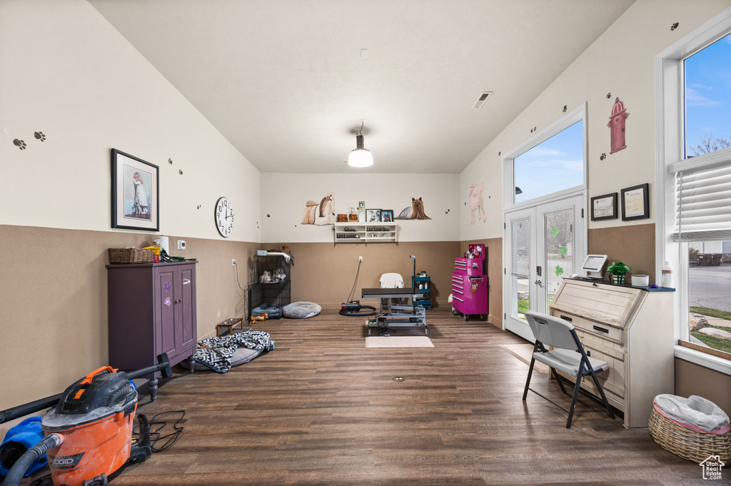 Rec room featuring wood finished floors, french doors, and plenty of natural light