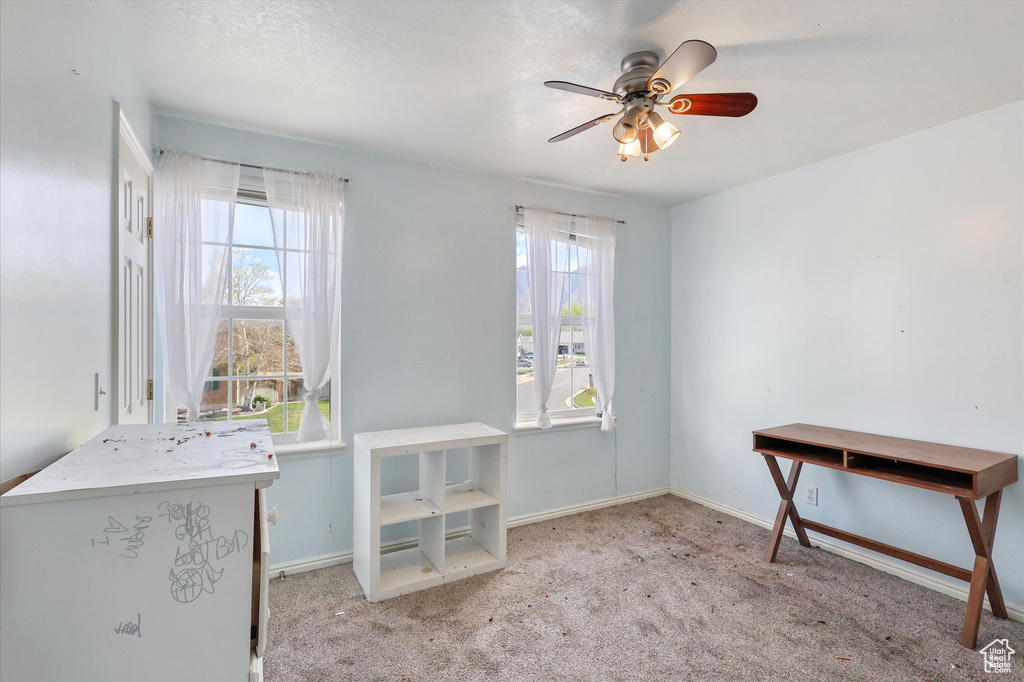 Interior space featuring baseboards, a ceiling fan, and carpet floors