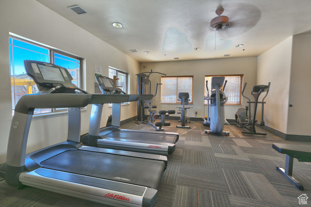 Workout area featuring baseboards, visible vents, a ceiling fan, and carpet