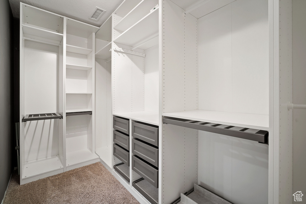 Spacious closet with visible vents and carpet