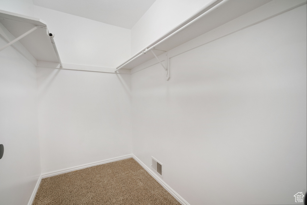 Spacious closet with visible vents and carpet flooring