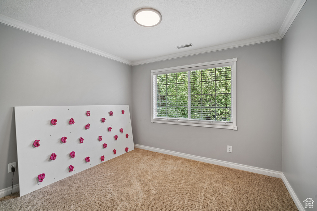 Unfurnished bedroom featuring carpet flooring, visible vents, ornamental molding, and baseboards