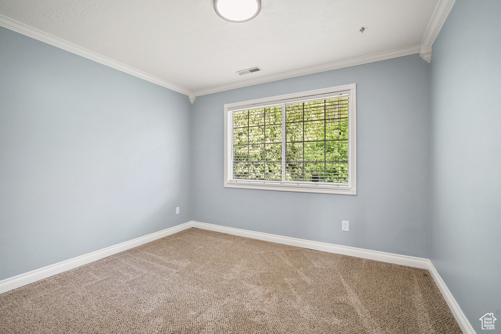 Empty room featuring ornamental molding, visible vents, carpet flooring, and baseboards