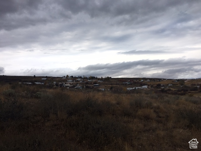 View of local wilderness