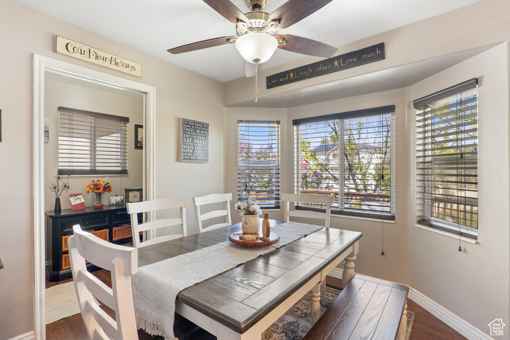 Dining area featuring a ceiling fan, a wealth of natural light, and dark wood-type flooring