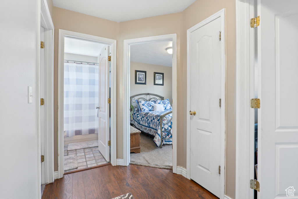Hallway with dark wood-style flooring