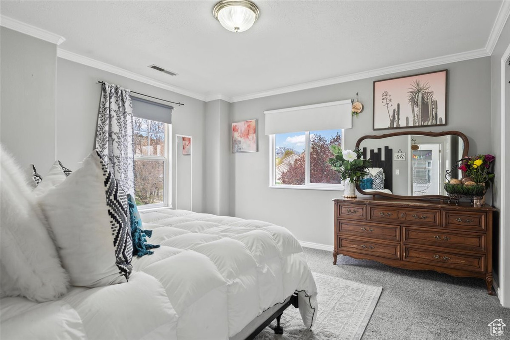 Bedroom featuring ornamental molding, multiple windows, carpet, and visible vents
