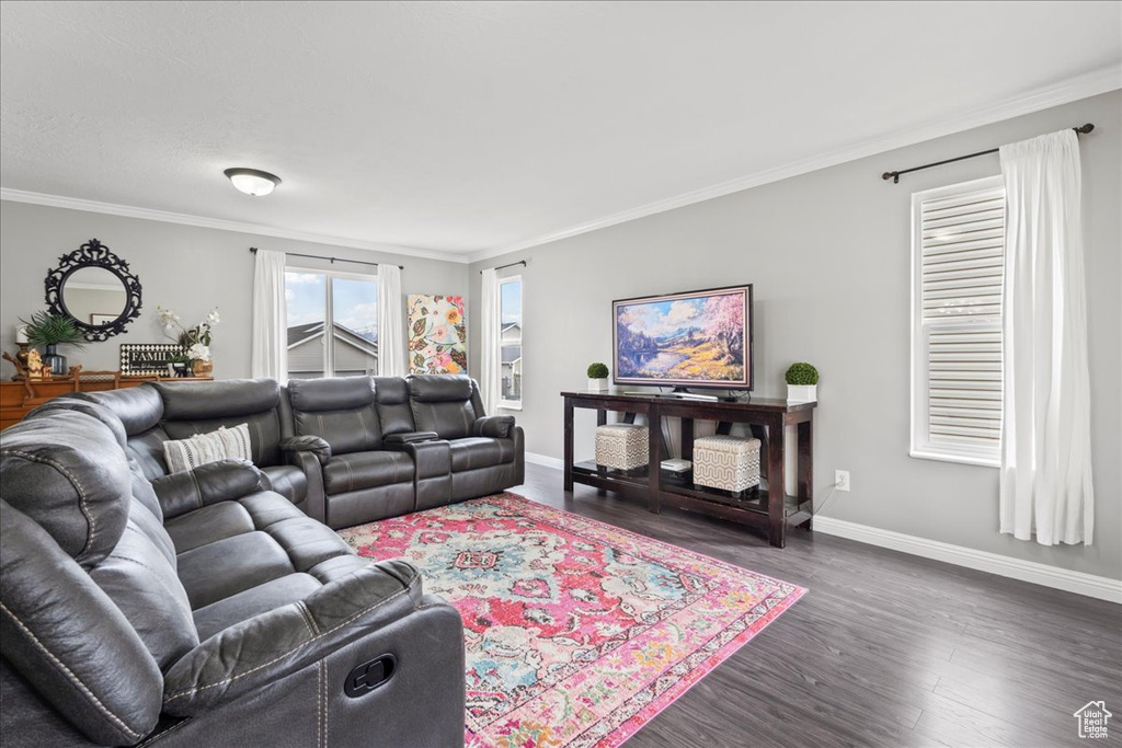 Living area featuring crown molding, dark wood-type flooring, and baseboards
