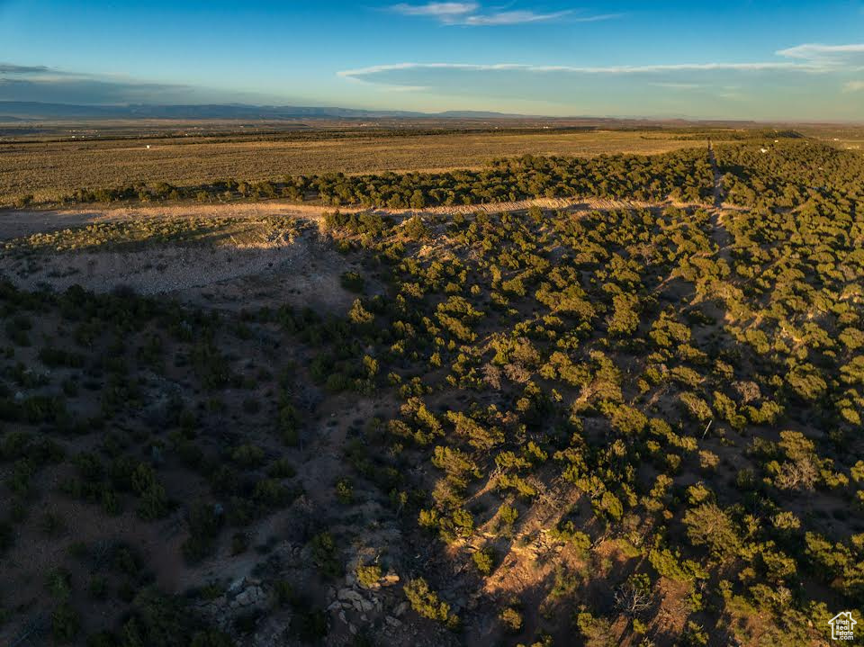 Birds eye view of property featuring a rural view and a mountain view