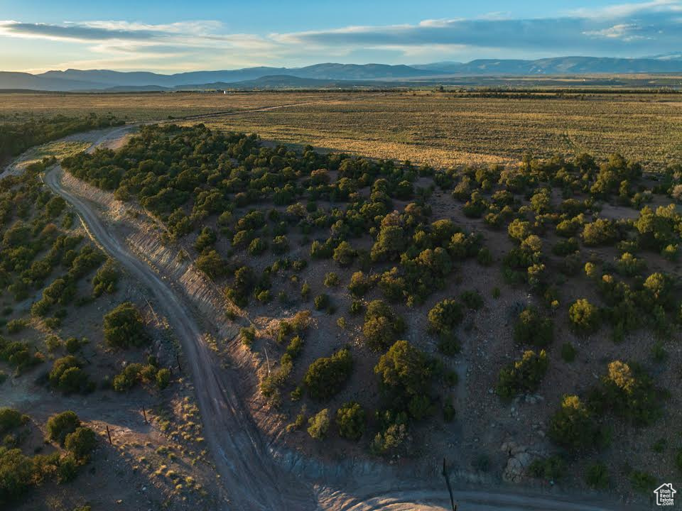 Drone / aerial view featuring a rural view and a mountain view