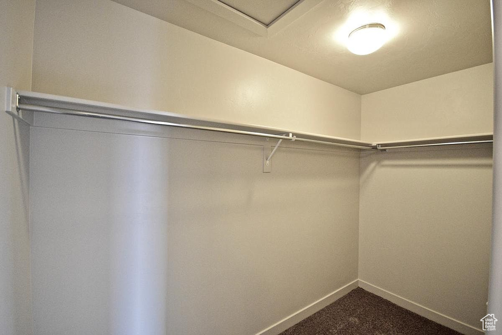 Walk in closet featuring dark colored carpet