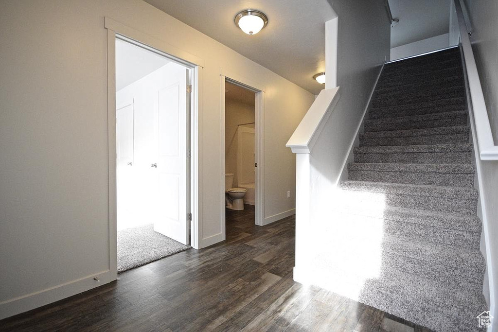 Stairway featuring wood finished floors and baseboards