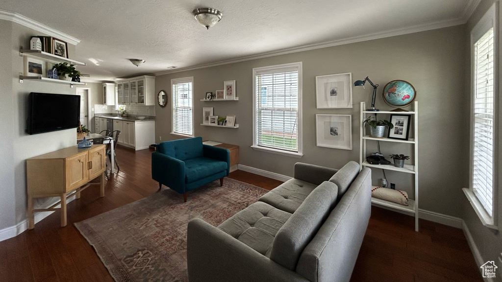 Living room with baseboards, ornamental molding, dark wood finished floors, and plenty of natural light