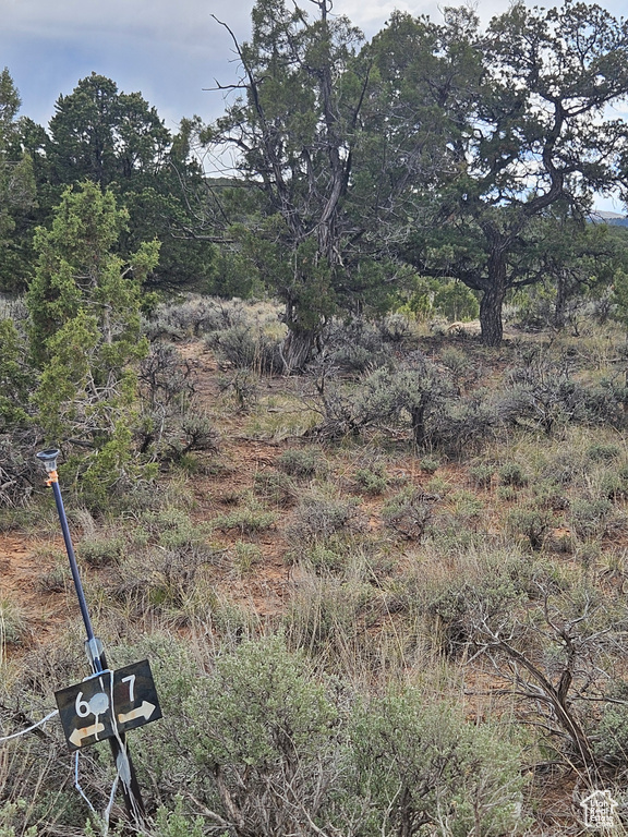 View of landscape