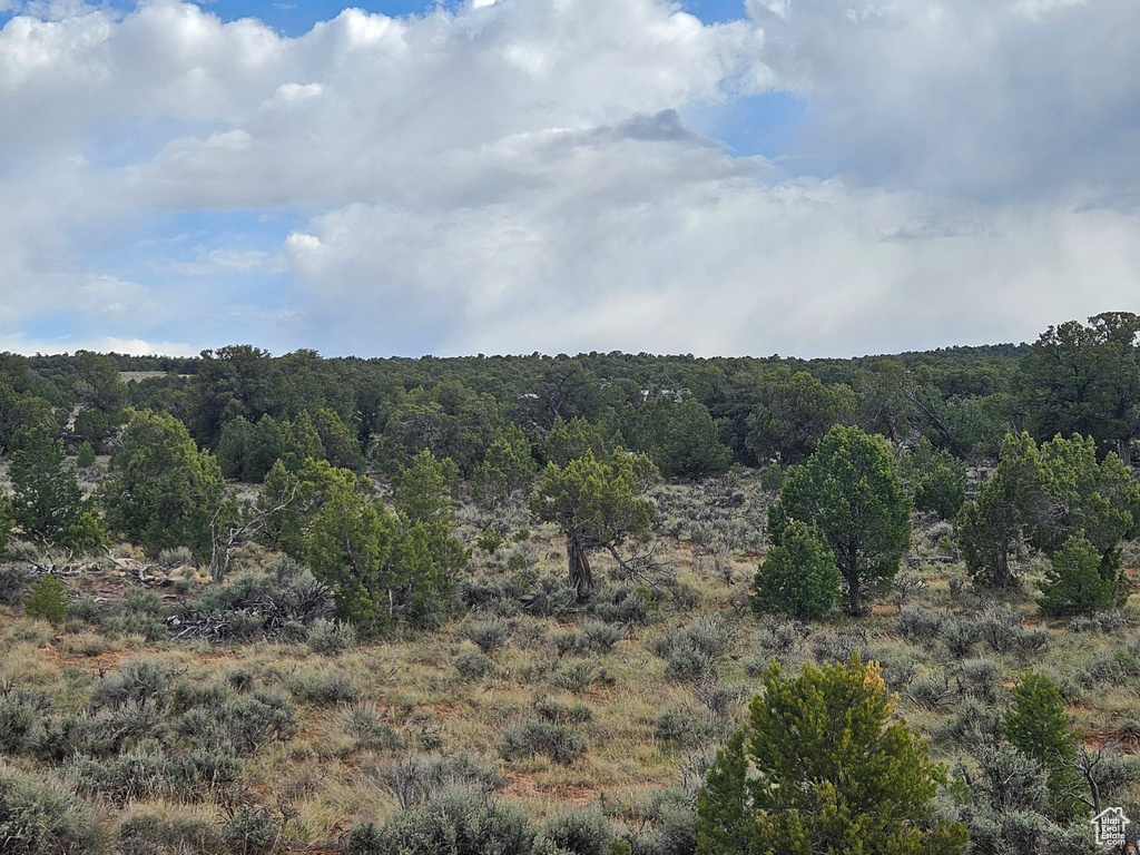 View of nature with a forest view