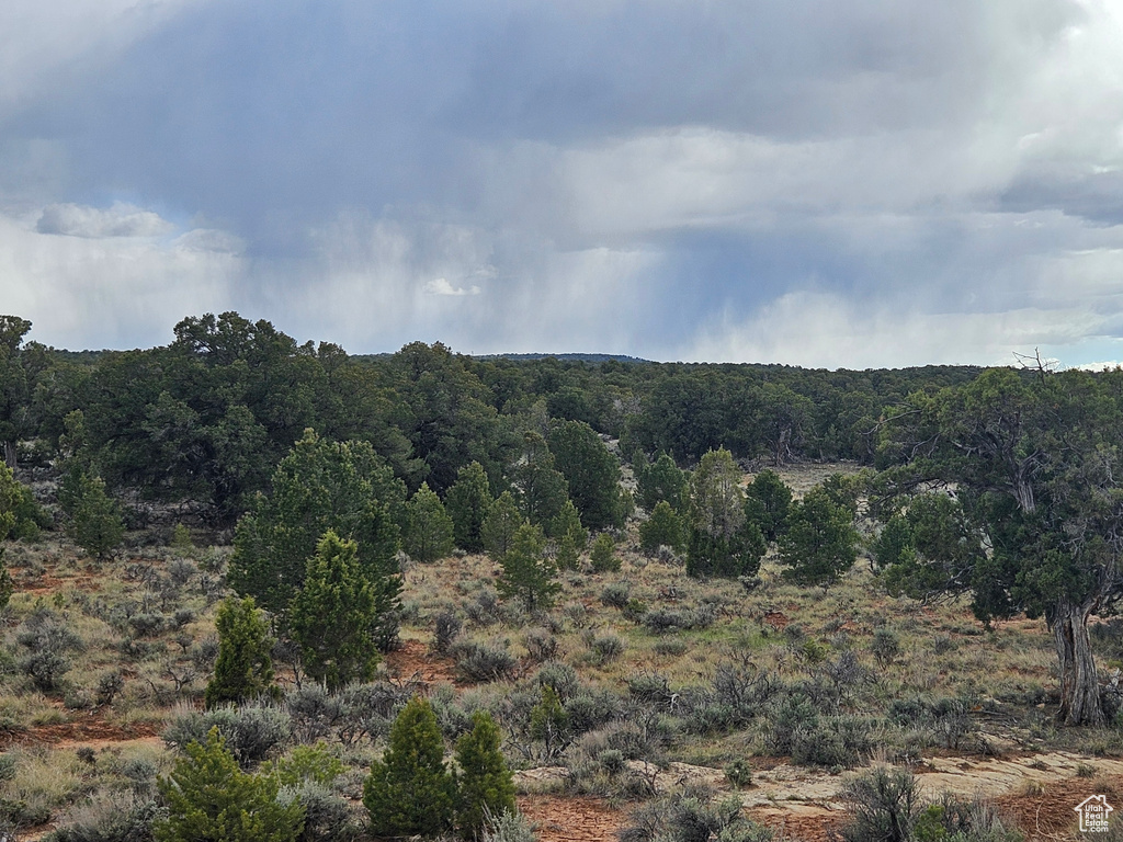 View of nature with a view of trees
