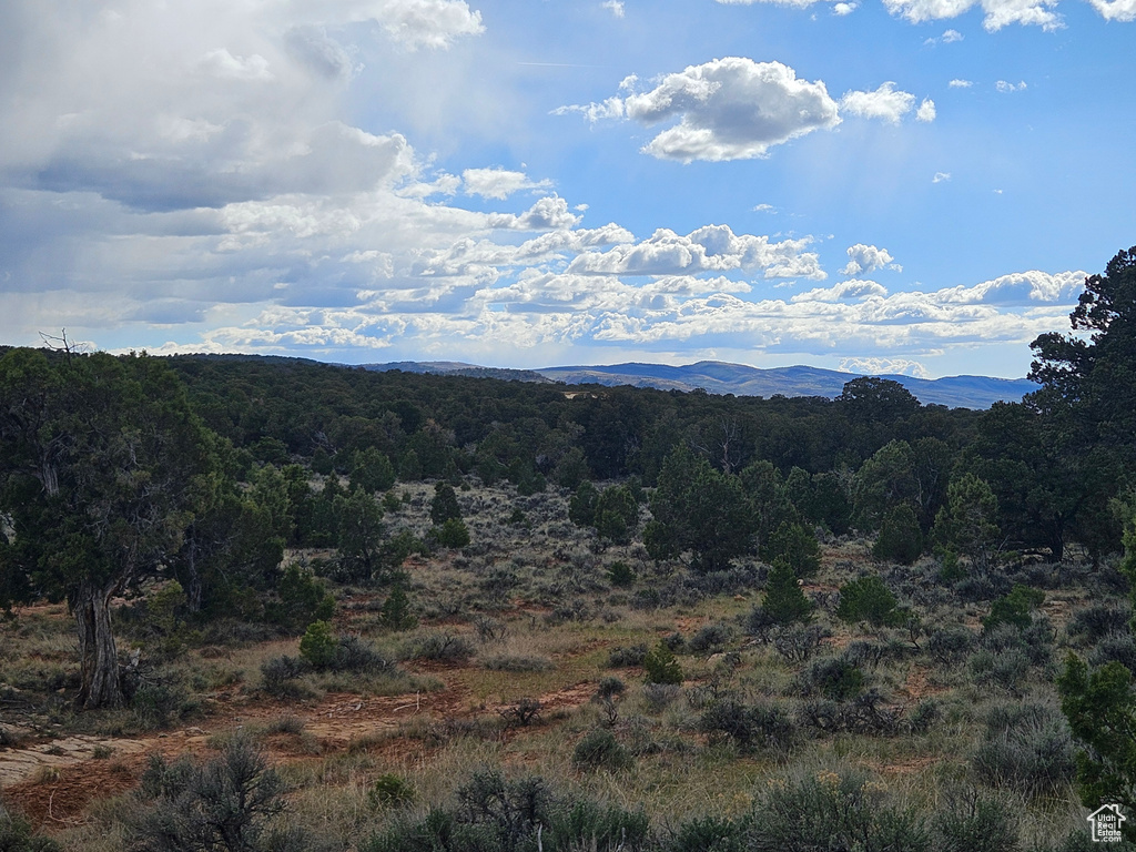 View of mountain feature featuring a wooded view