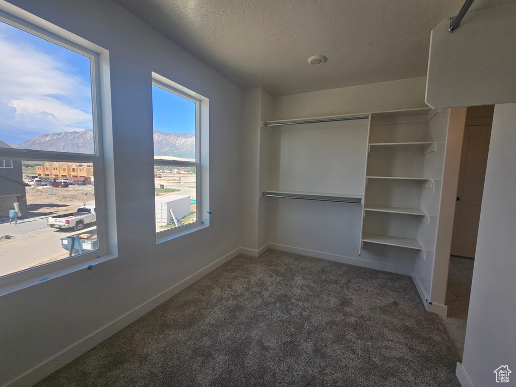 Unfurnished bedroom featuring carpet, a mountain view, a textured ceiling, baseboards, and a closet