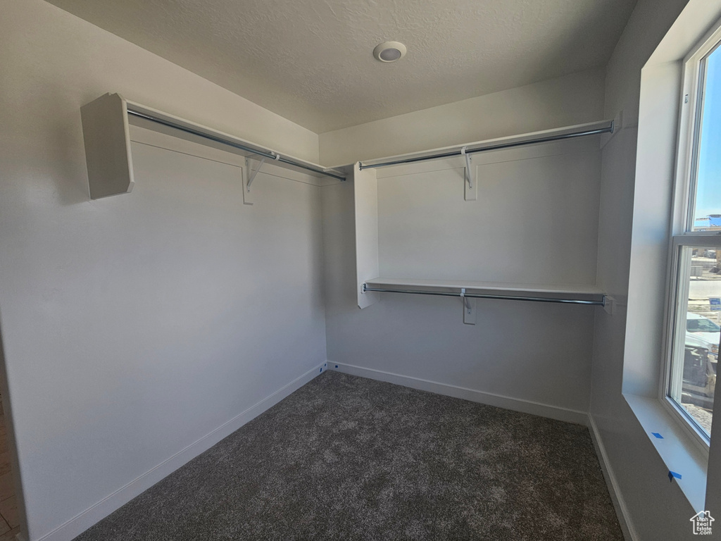 Walk in closet featuring carpet