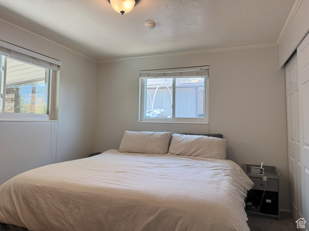Bedroom with carpet flooring, crown molding, and a closet