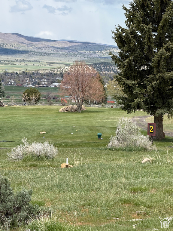 Surrounding community featuring a lawn and a mountain view