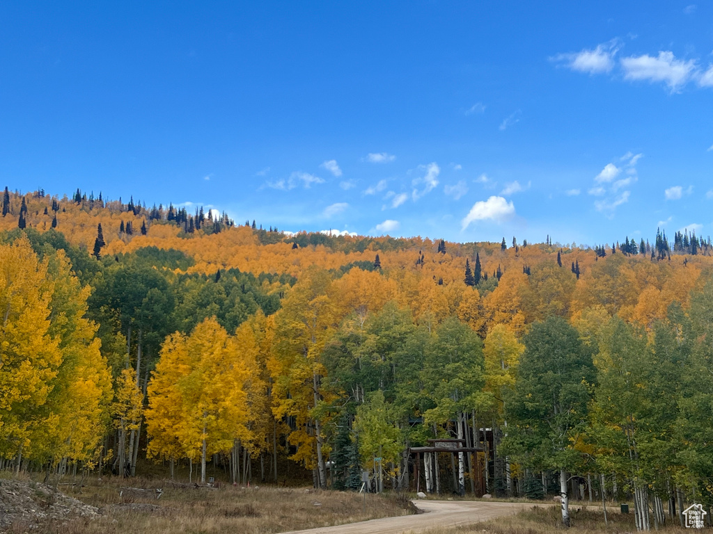 View of mountain feature featuring a forest view