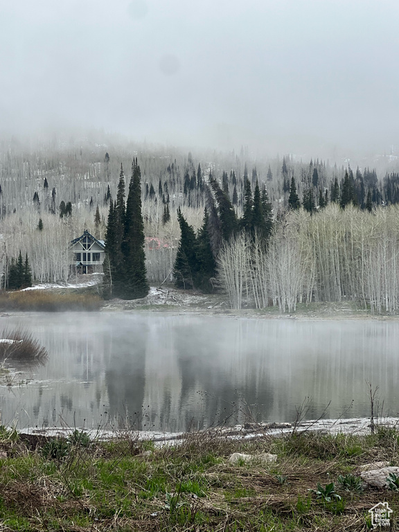 Water view featuring a heavily wooded area