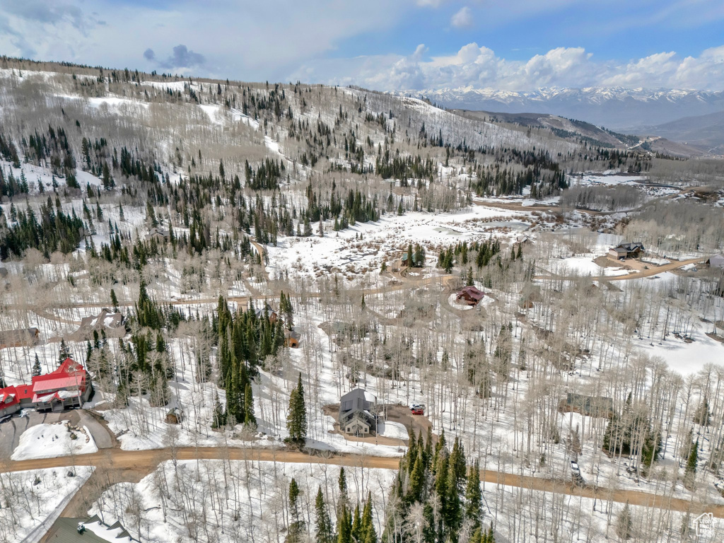 Mountain view