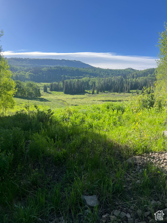 Mountain view with a wooded view