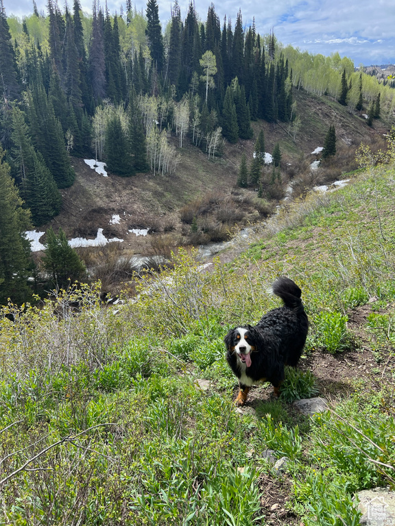 View of nature