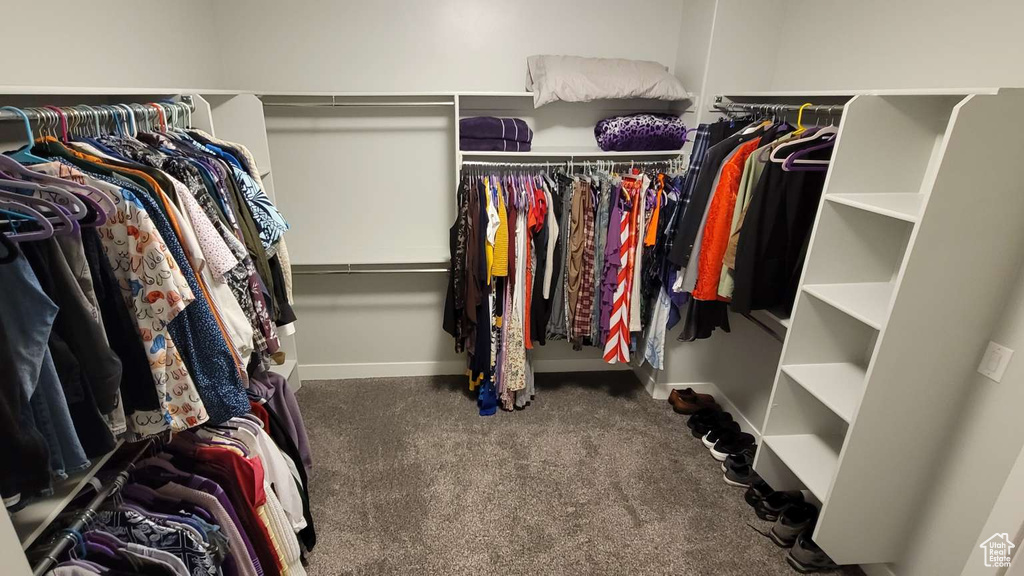 Spacious closet featuring carpet flooring