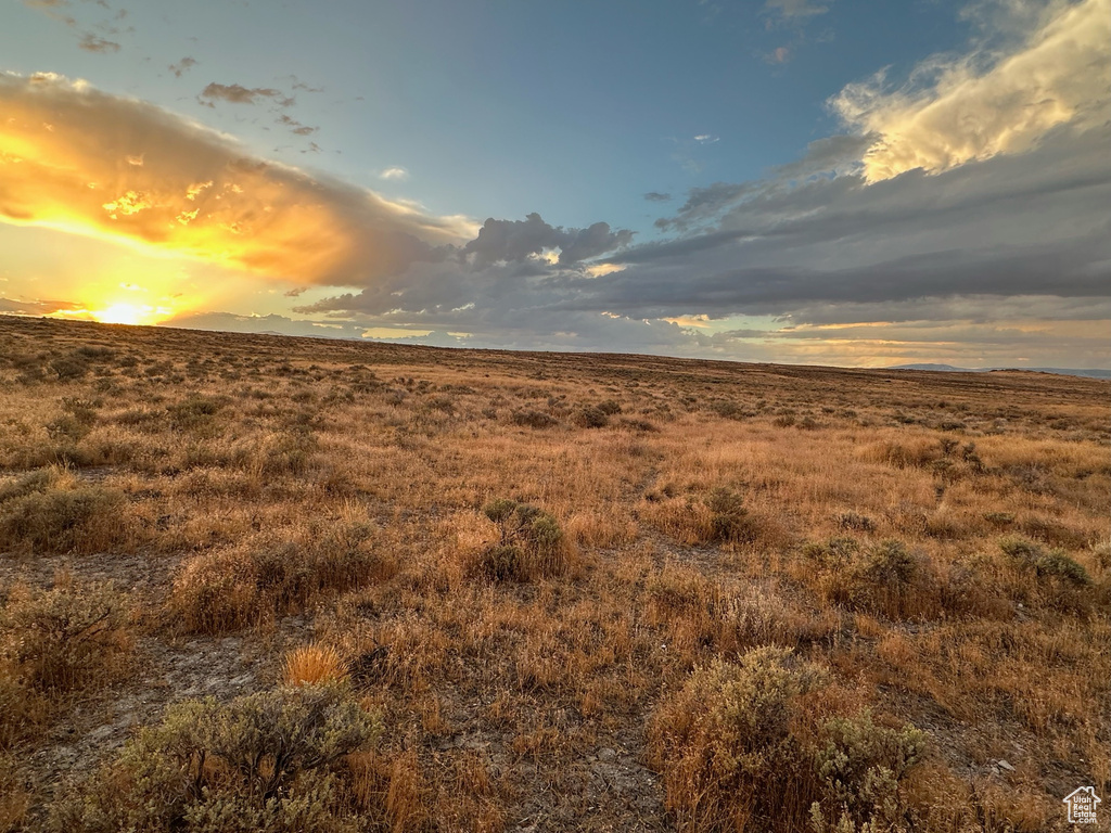 View of nature at dusk