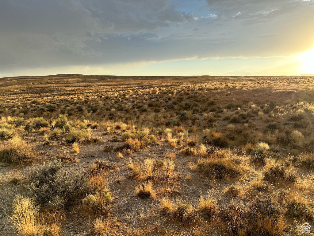 View of local wilderness with a rural view