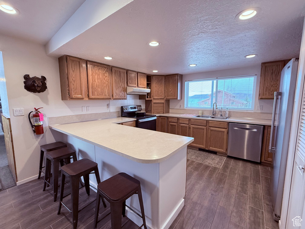 Kitchen with dark wood-style flooring, recessed lighting, under cabinet range hood, a sink, and stainless steel appliances