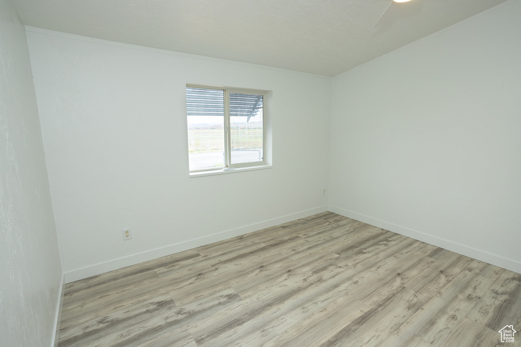 Empty room with a ceiling fan, baseboards, and light wood-style flooring