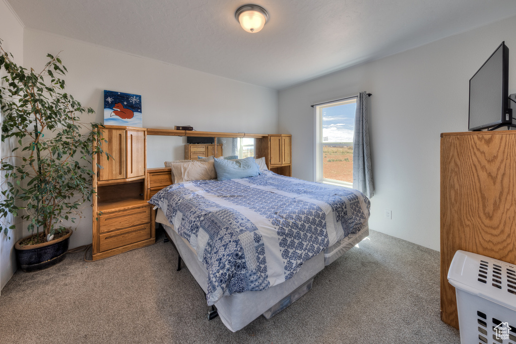 Bedroom featuring carpet flooring