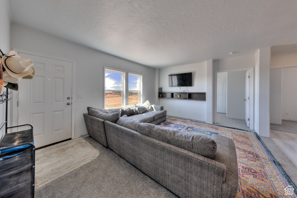 Carpeted living room featuring a textured ceiling