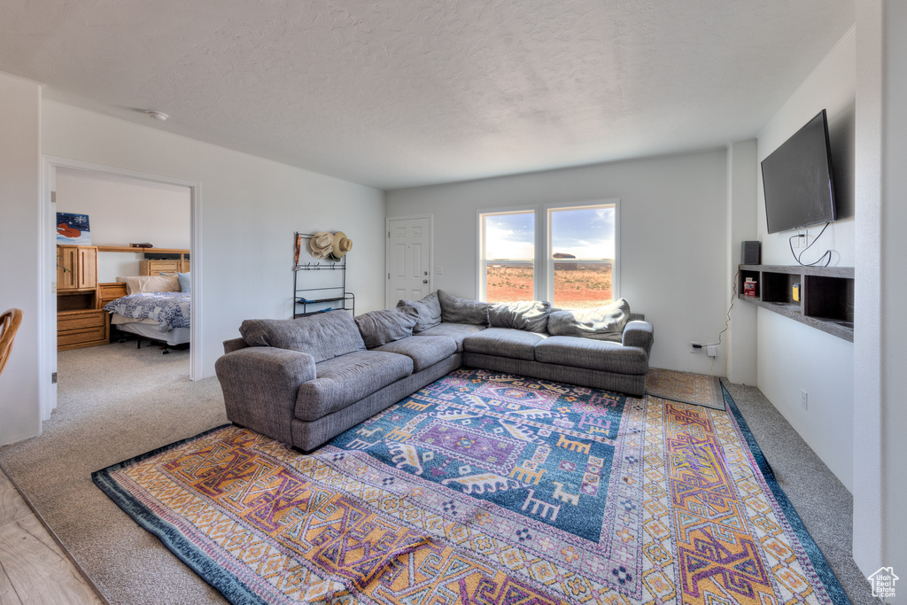 Living room featuring carpet