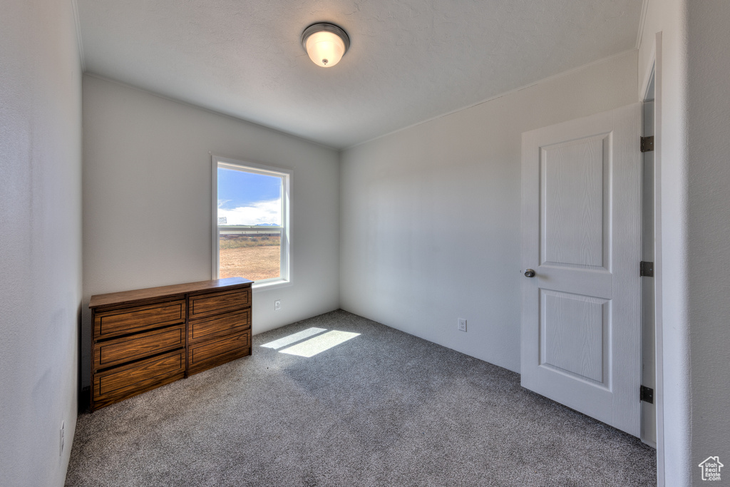 Unfurnished bedroom featuring carpet floors
