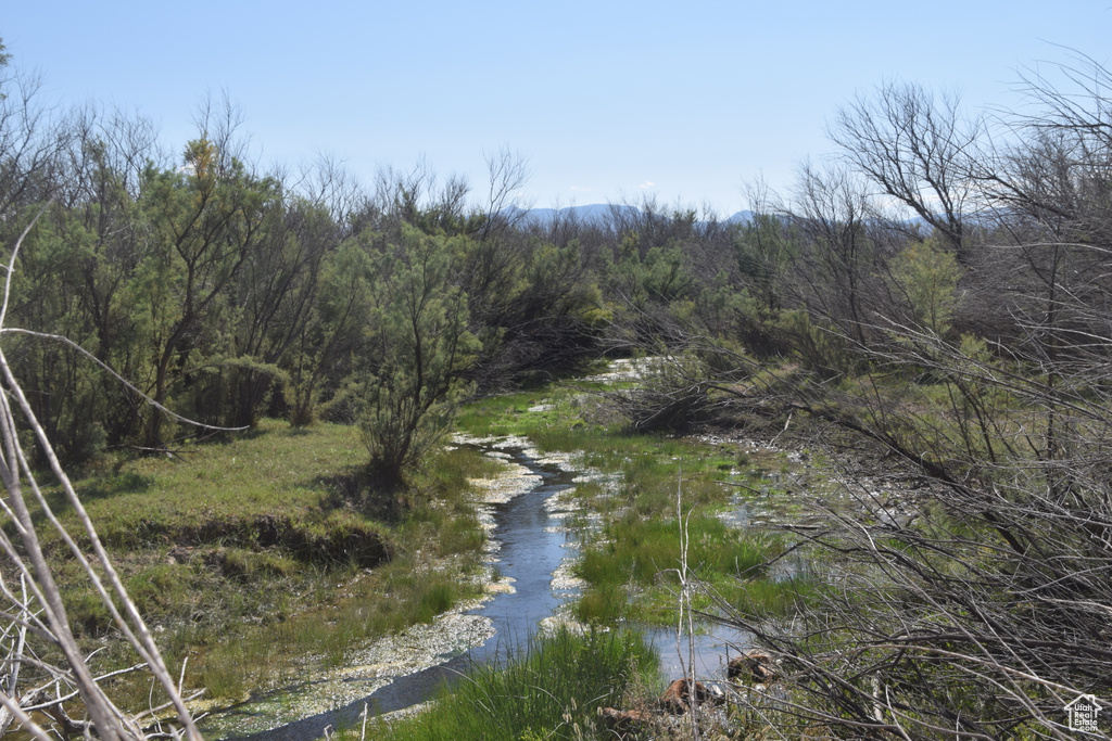 Property view of water with a wooded view