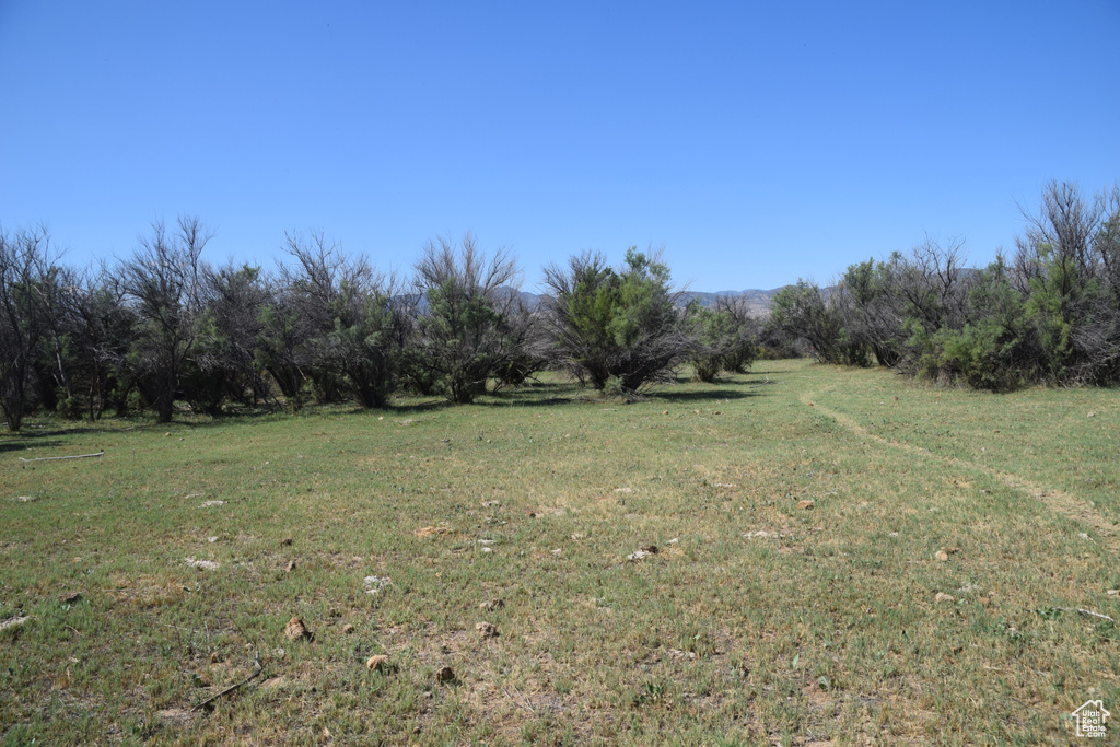 View of yard with a rural view